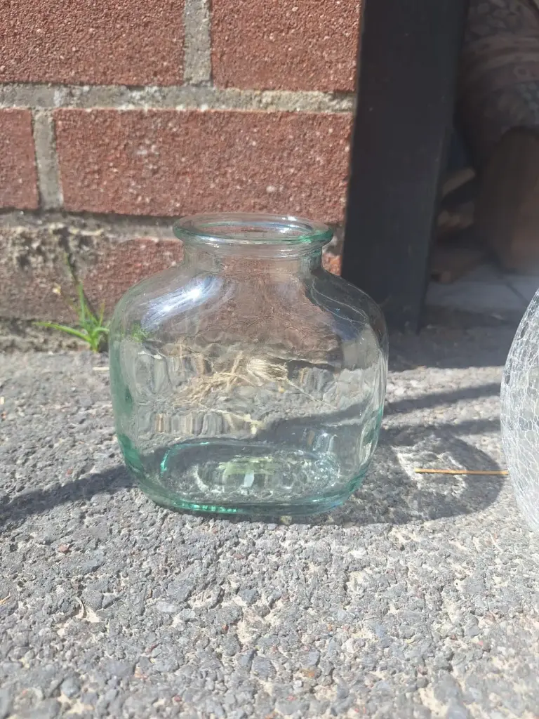 Vase transparent